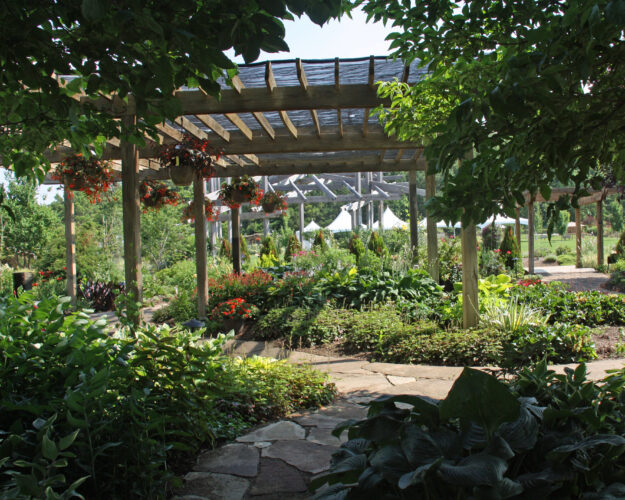 Plan a Shade Garden: Vegetables for Shady Spots